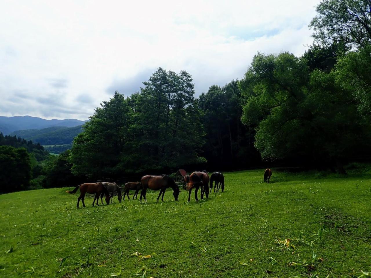 Апартаменты Zrebcin Mlyncok Slovenska Lupca Экстерьер фото